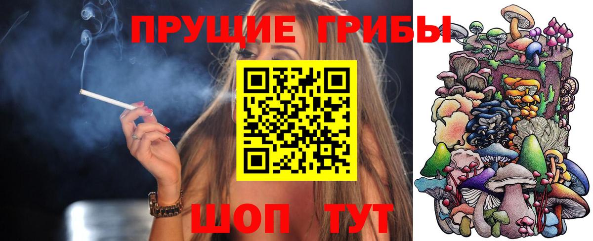 Псилоцибиновые грибы Cubensis Железногорск