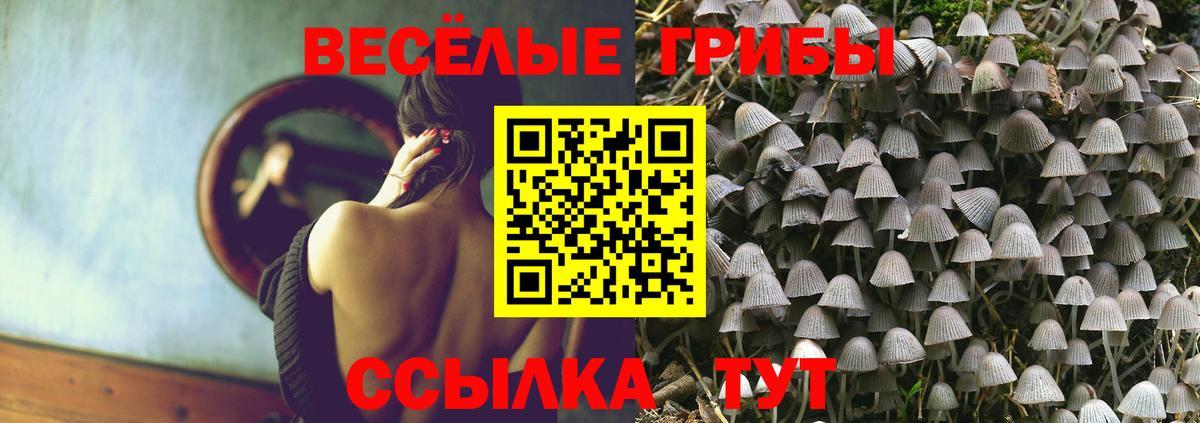Железногорск  Псилоцибиновые грибы GOLDEN TEACHER  Вход с VPN  Галлюциногенные грибы Psilocybe 